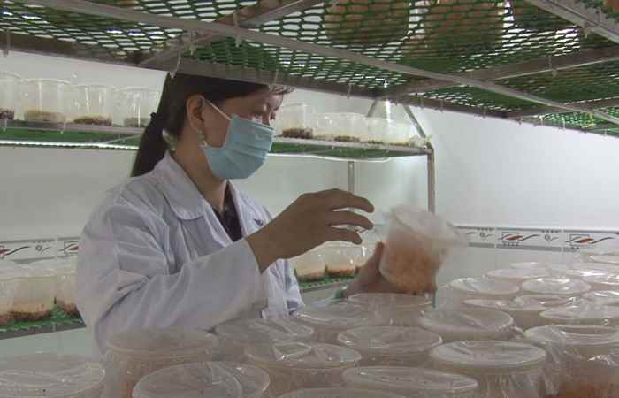 Khoa học và Công nghệ 17-09-2018