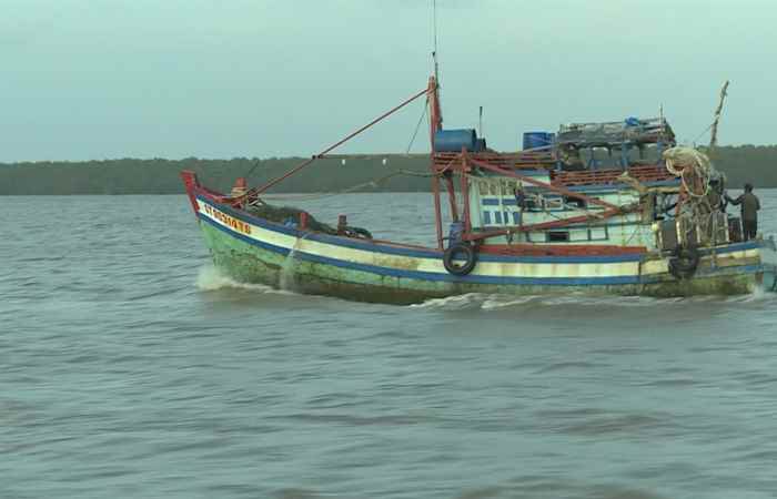 Chuyên mục: Khuyến Ngư (04-10-2022)