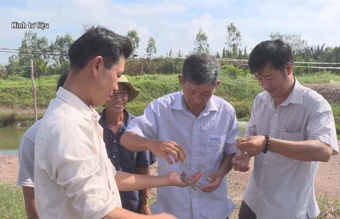  Sóc Trăng chú trọng kiểm soát dư lượng hóa chất kháng sinh trong sản xuất, kinh doanh thủy sản (08-06-2021)
