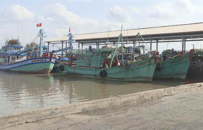 Khuyến Ngư 14-04-2020