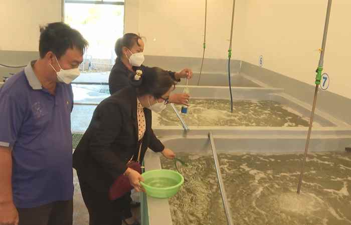  Hướng dẫn cơ sở sản xuất, ương dưỡng giống thủy sản xây dựng và áp dụng hệ thống kiểm soát chất lượng, an toàn sinh học tại cơ sở (15-02-2022)