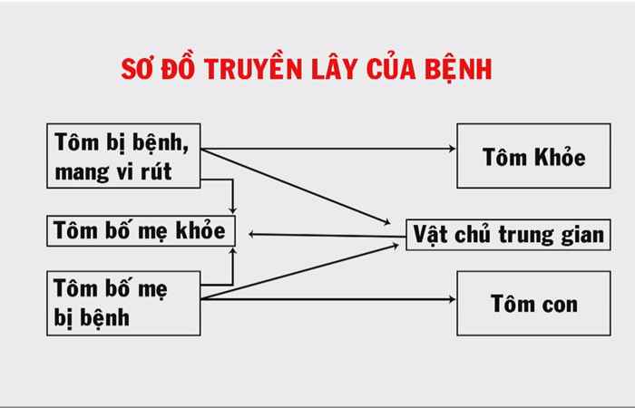 Khuyến Ngư 15-05-2018