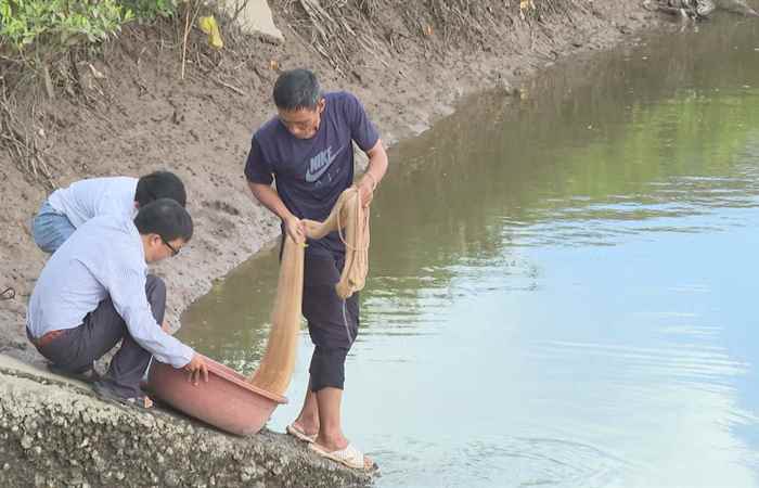  Phòng bệnh hoại tử gan tụy cấp trên tôm nuôi (18-07-2023)