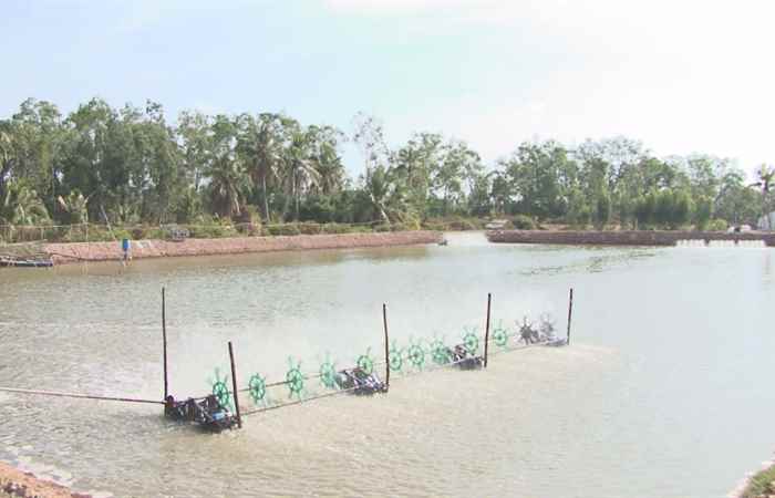 Khuyến Ngư 25-02-2020
