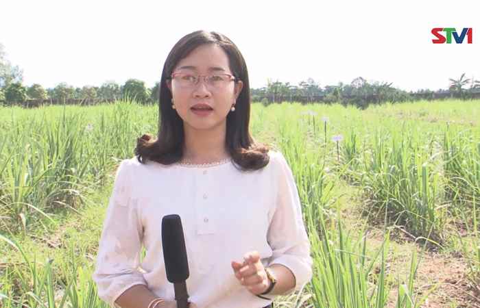 Khuyến nông 02-05-2017