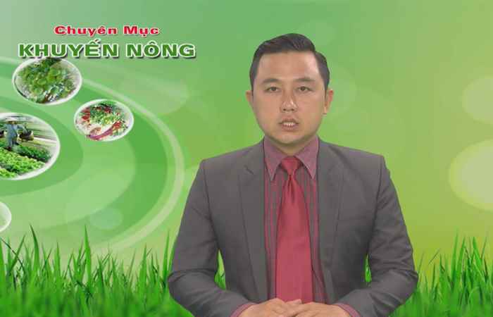 Khuyến nông 03-12-2019