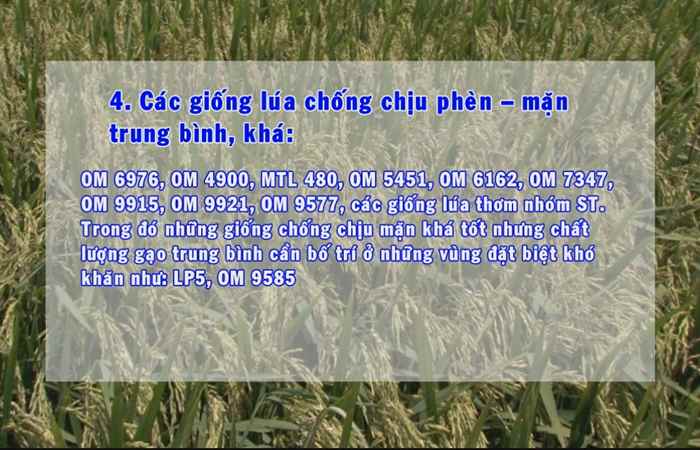 Khuyến nông 04-04-2017
