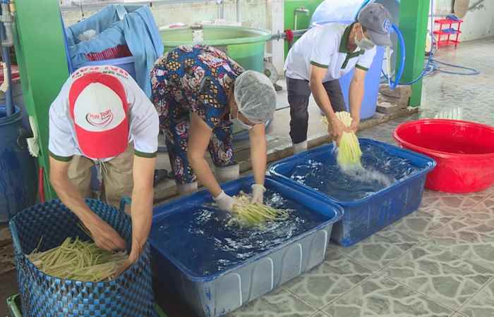 Giới thiệu mô hình sản xuất nông sản theo chuổi an toàn (04-05-2021)