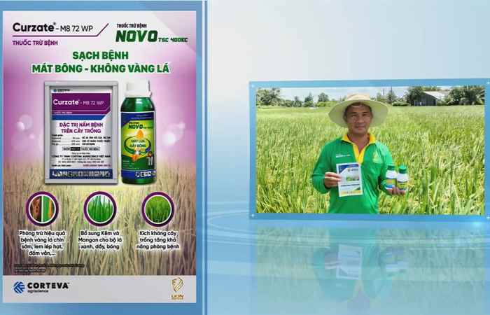 Giải pháp Lion Agrevo cho lúa giai đoạn trổ đến chín (05-08-2024)