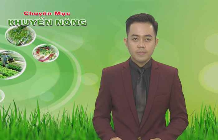 Khuyến nông 07-05-2019