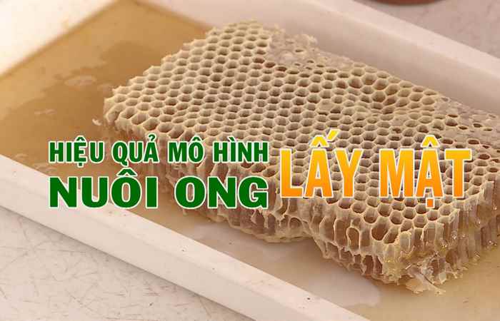 Khuyến nông 11-06-2019