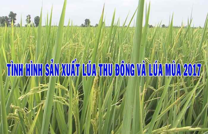 Khuyến nông 12-09-2017