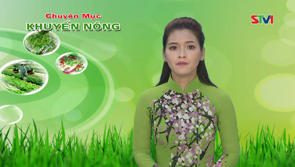 Khuyến nông 30-08-2016
