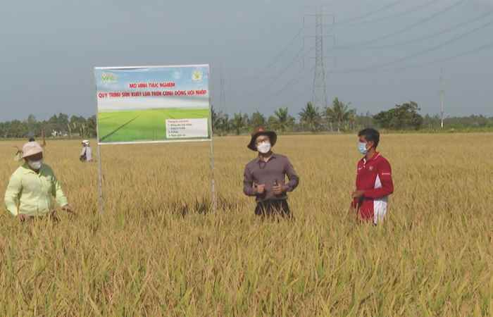 Tiếp sức cùng nông dân - VFC cánh đồng hội nhập (14-01-2022)