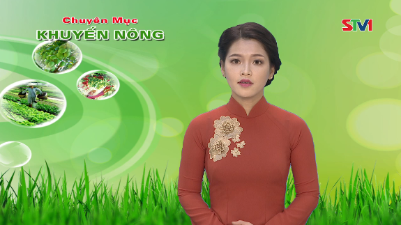 Khuyến nông 13-09-2016