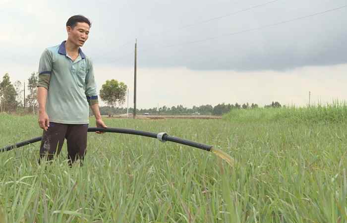Khuyến nông 16-04-2019