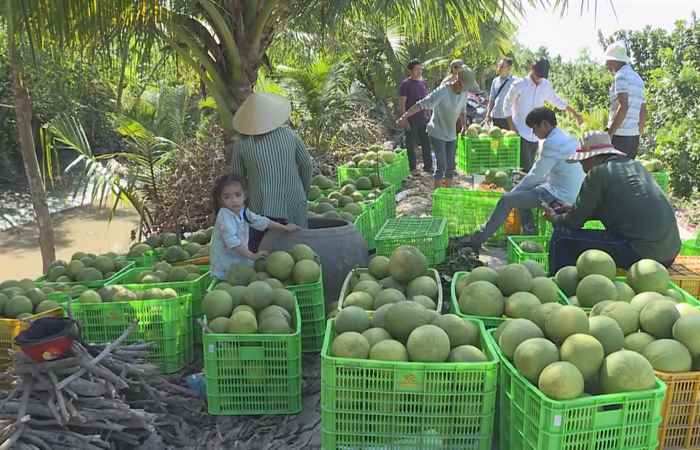 Giới thiệu mô hình đầu tư hạ tầng logistic phục vụ phát triển vùng nguyên liệu thủy sản (20-12-2022)