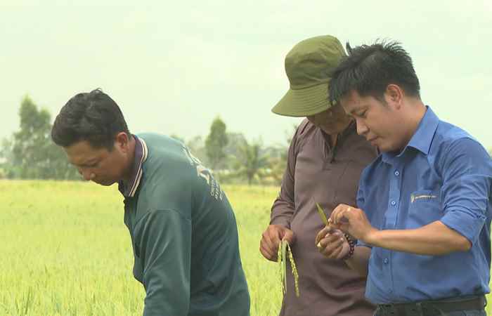 Giải pháp nông nghiệp xanh (21-06-2023)