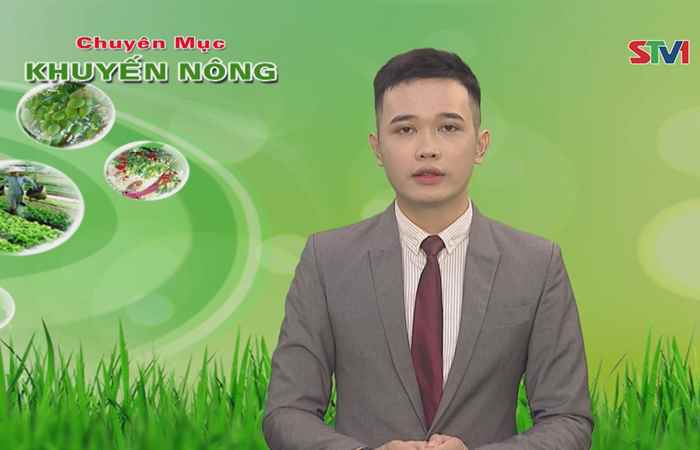 Khuyến nông 22-01-2019
