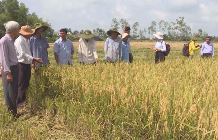  Hiệu quả từ việc ứng dụng công nghệ cao vào sản xuất (22-06-2021)