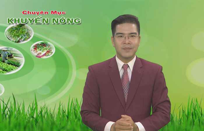 Khuyến nông - Hướng dẫn nhận biết sản phẩm nông lâm thủy sản an toàn 22-10-2019