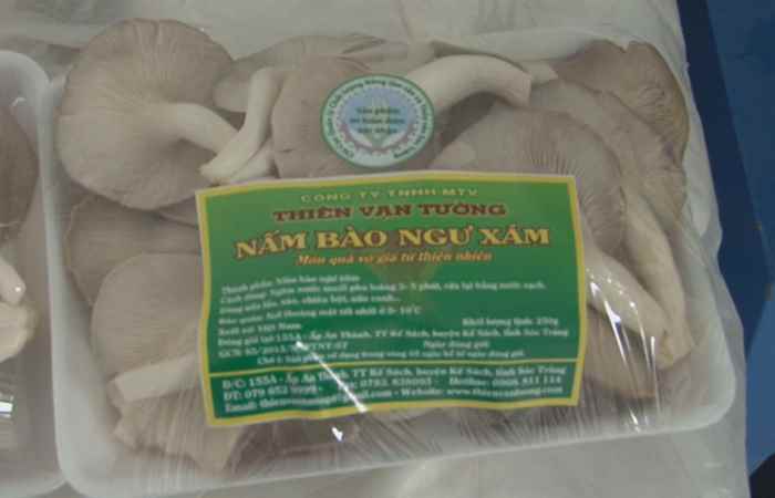 Khuyến nông 23-05-2017