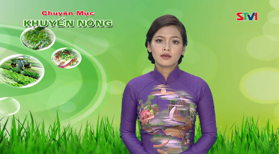 Khuyến nông 06-12-2016