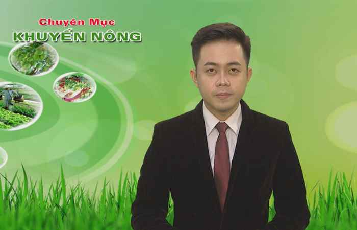 Khuyến nông 25-09-2018