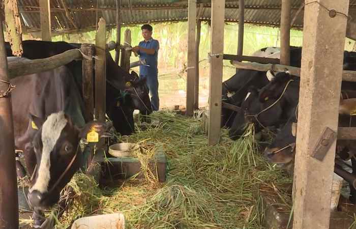 Khuyến nông 26-05-2020