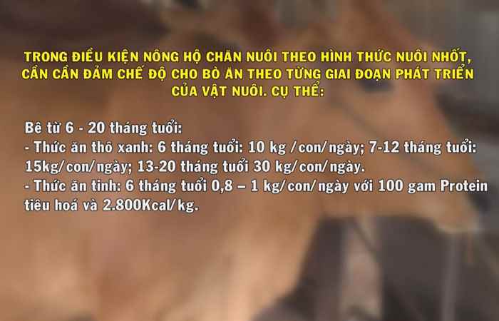 Khuyến nông 29-05-2018