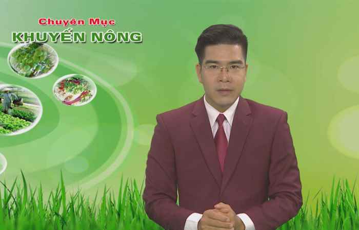 Khuyến nông - Tăng cường công tác kiểm tra vệ sinh an toàn thực phẩm (24-12-2019)