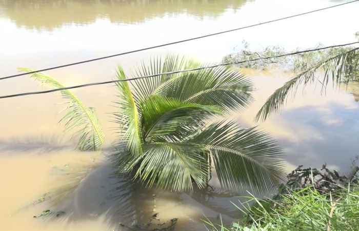 Long Phú: Kiểm tra sạt, lở bờ bao tại xã Long Đức