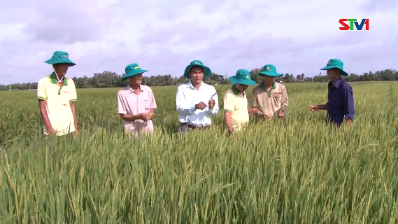 Tiến tới kiến thức vàng 19-08-2016