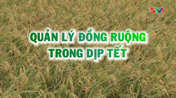 Tiến tới kiến thức vàng 20-01-2017