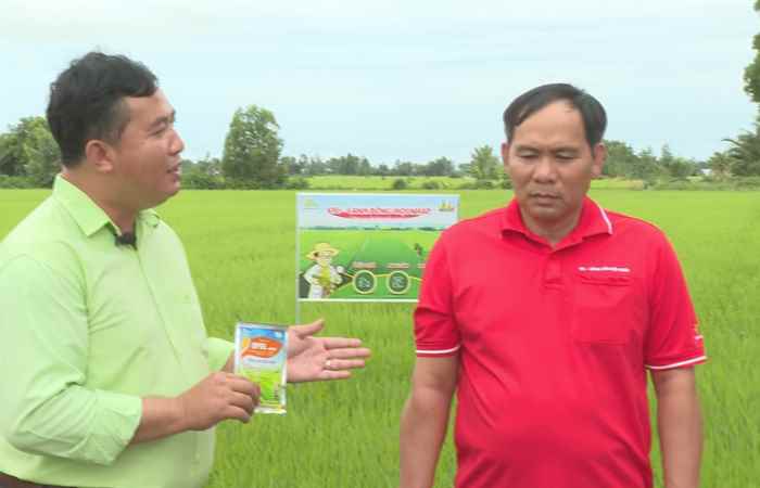 Kinh nghiệm quản lý rầy phấn trắng từ nông dân hội nhập (19-07-2024)