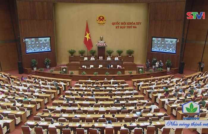 Kỳ họp thứ 3 Quốc hội khóa XIV làm việc trong ngày 15/06 