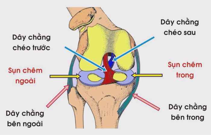 Kỹ năng sơ cấp cứu - Bị bong gân 21-09-2017