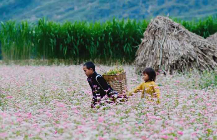 Ký sự Caravan: Hương sắc Tây Bắc (11-01-2023)