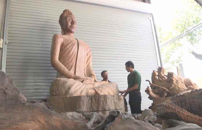 Ký sự Chuyện cây bàng đã chết 25-01-2019