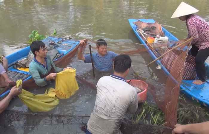 Ký sự - Giỡ chà, tát đìa, dọn vuông... ăn tết 