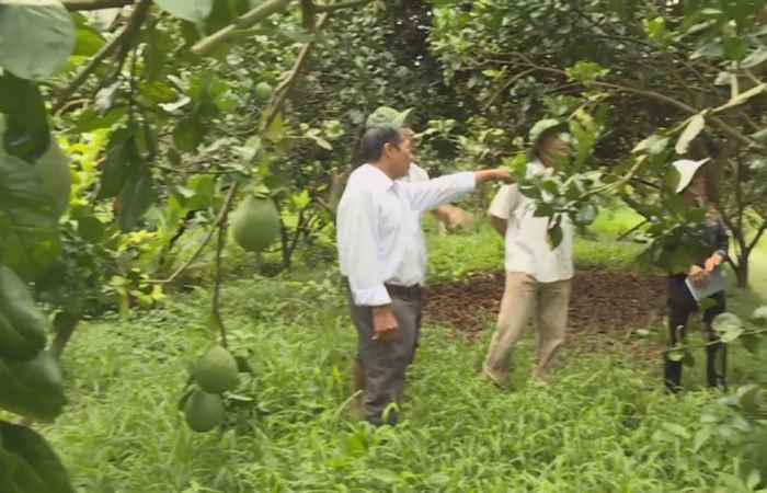 Ký sự - Khởi nghiệp từ sản phẩm hữu cơ, sinh học (11-10-2019)