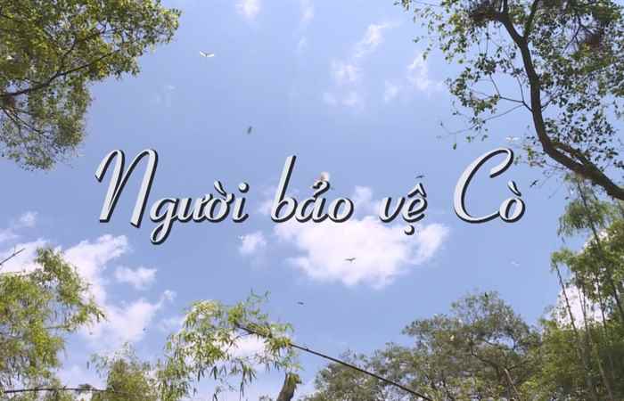 Ký sự - Người bảo vệ cò 16-12-2019