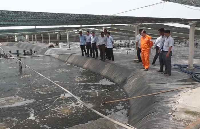 Lãnh đạo thị xã Vĩnh Châu khảo sát tình hình sản xuất trên địa bàn