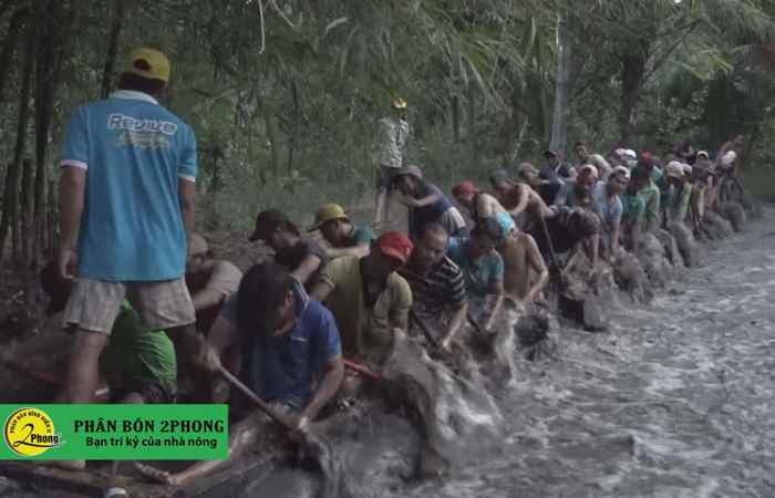 Nhộn nhịp tập luyện của đội ghe Ngo nam, nữ chùa Ô Chum