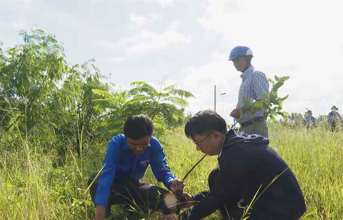 Lễ phát động “Tết trồng cây đời đời nhớ ơn Bác Hồ”