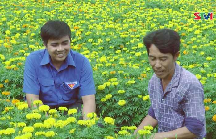 Long Phú chuẩn bị đón xuân