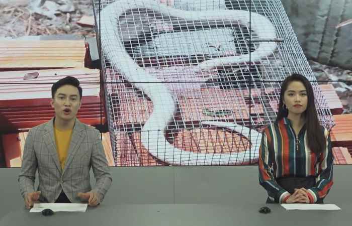 Miền tây 24h (02-02-2020)