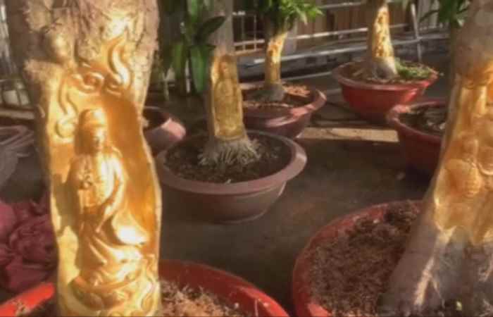 Miền tây 24h 03-01-2019