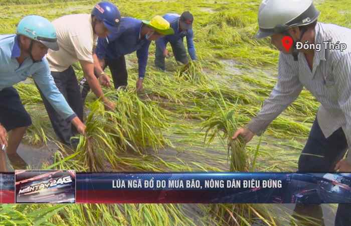 Miền tây 24h 05-08-2020