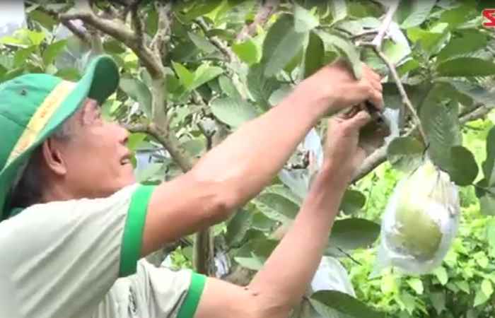 Miền tây 24h 07-08-2020